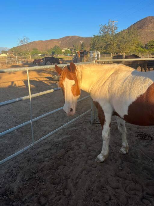 Peaceful & Cozy 3 Bedroom Ranch-Home W/Fireplace Hemet Luaran gambar
